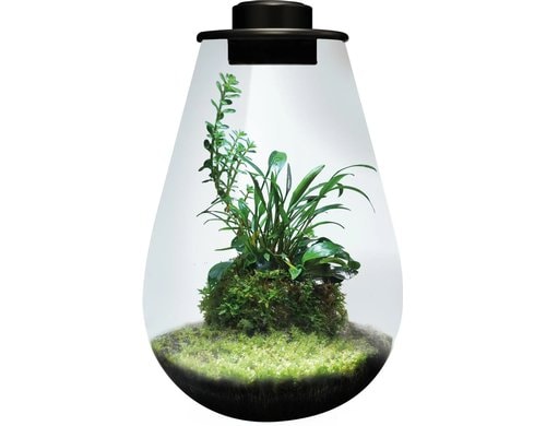 BioArt Pflanz-Terrarium Drop 285 mit LED Schwarz, 28.5x20 cm, 5V-7W,344Lm
