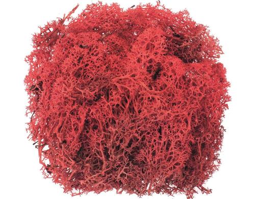 Glorex Islandmoos 50g Rot