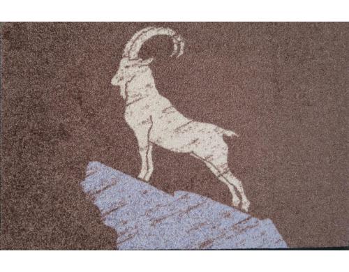 Wash+Dry Steinbock Braun Fussmatte 50x75 cm, Flor Polyamid, Anti-Rutsch