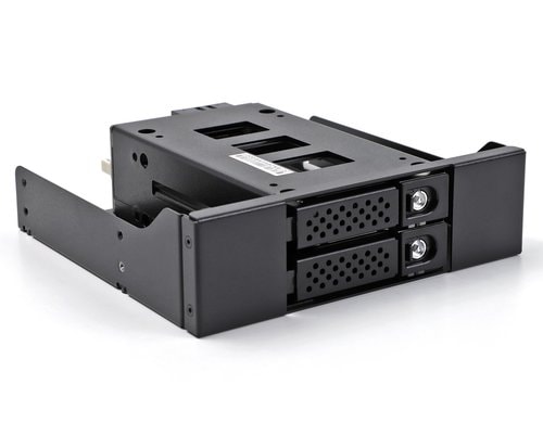 Delock Slim Bay Wechselrahmen für 2x2.5 U.2 NVMe SSD mit 5.25 Rahmen