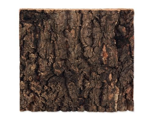 Repti Planet Kork-Rückwand 19x17.3x2cm