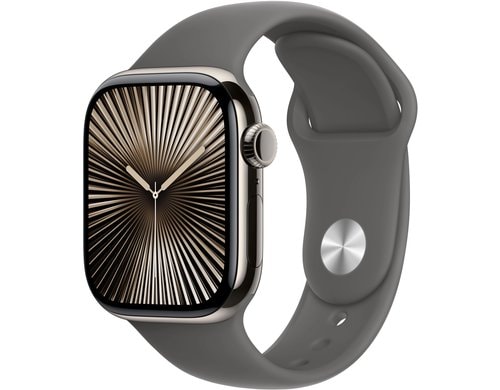 Apple Watch S10 CEL 42 Natural Titanium S mit Stone Grey Sport Band - S/M