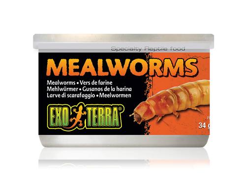 Exo Terra Mealworms 34 g