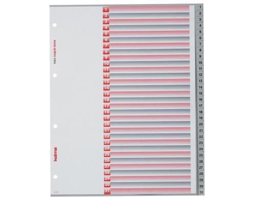 Kolma Register A4 XL LongLife 1-31 31-teilig, grau