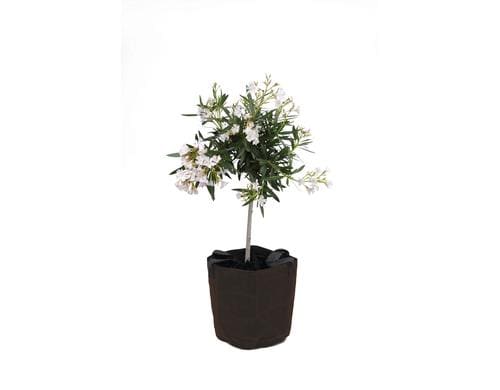 Colibri Frostschutz Topf braun mit Zipper D35 x 40 cm