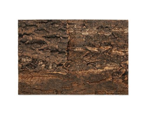 Repti Planet Kork-Rückwand 28.5x41x2cm