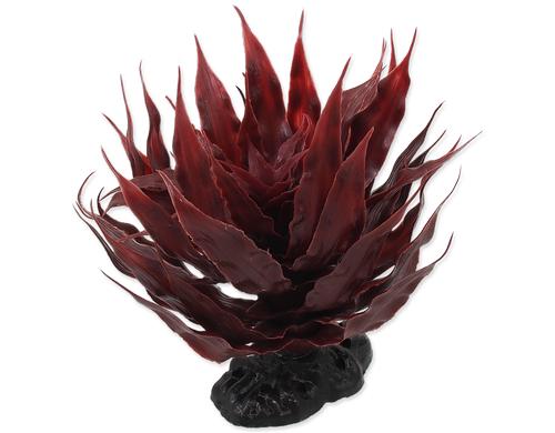 Repti Planet Sukulent Agave red 18cm