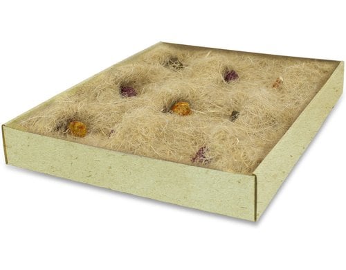 Back to Instinct Aktiv Teppich 175 g