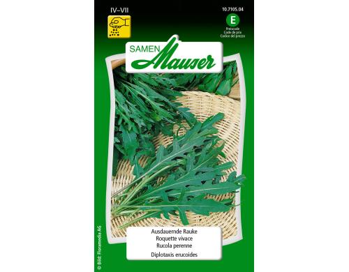 Ausdauernde Rauke Diplotaxis erucoides