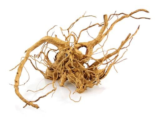 Amazonas Finger-Wurzel S 20-30 cm