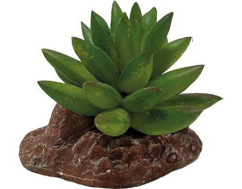 Repto Deco Plant Aloes