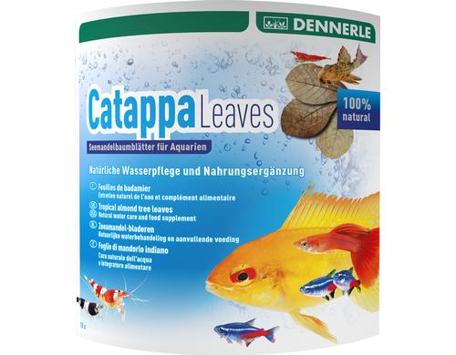 Dennerle Catappa Leaves