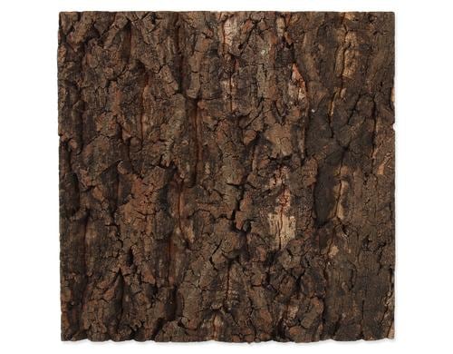 Repti Planet Kork-Rückwand 28.5x28x2cm