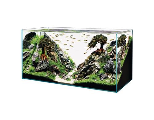 OASE ScaperLine 100 Aquarium