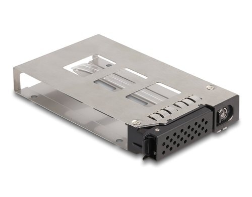 Delock Wechselrahmen Einschub für 1x2.5 U.2 NVMe SSD für Rahmen 47005/47011/47019