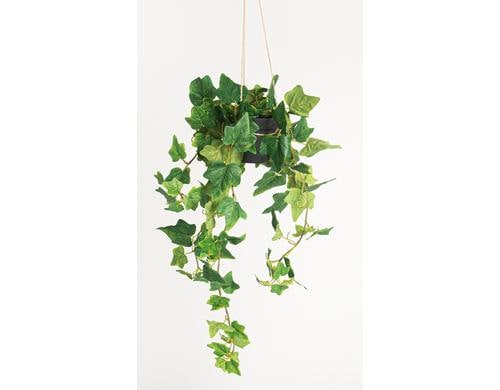 Botanic-Haus Efeu hängend Kunststoff, 85x38 cm (HxB)
