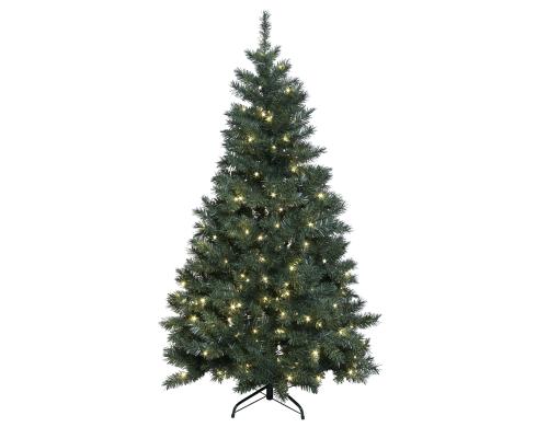 Star Trading LED Weihnachtsbaum 1.8m 24V, IP44, 5m Zuleitung