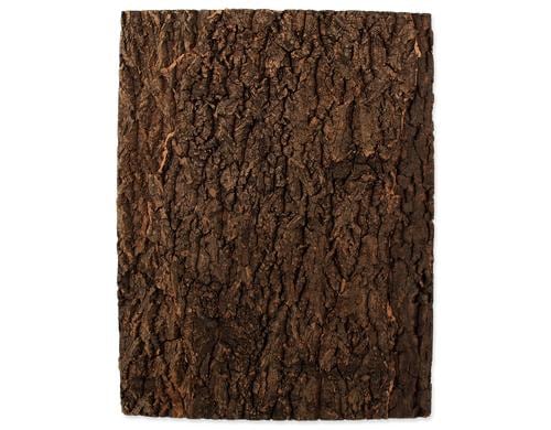 Repti Planet Kork-Rückwand 43.5x56x2cm