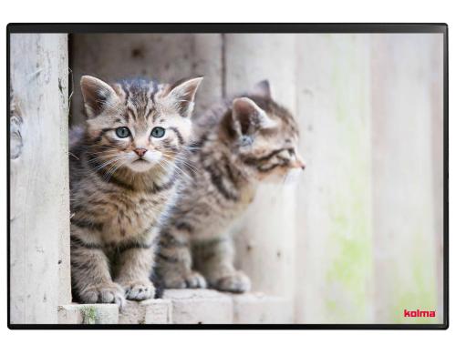 Kolma Schreibunterlage Undercover Poster Katze, 50x34cm