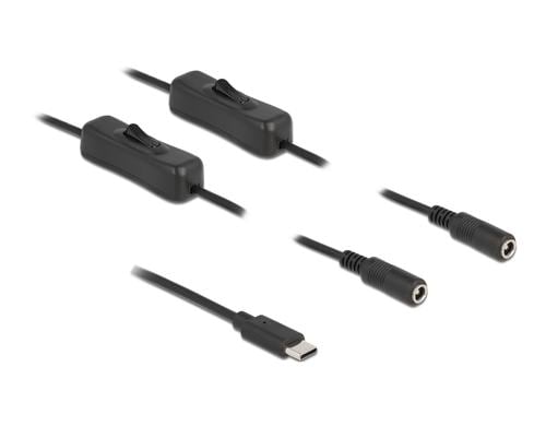 Delock USB-C Stecker zu 2x DC 5.5x2.1mm,1m Mit Schalter,Stecker zu Buchse,1m,Schwarz