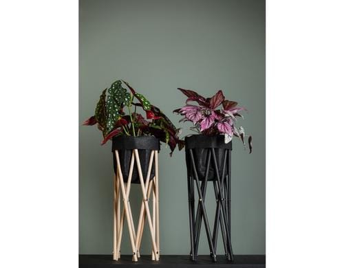 Neogard Pflanzenstativ 50 Natur 50cm
