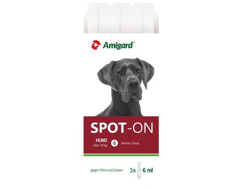Amigard Spot-on Hund >30kg, 3x6ml
