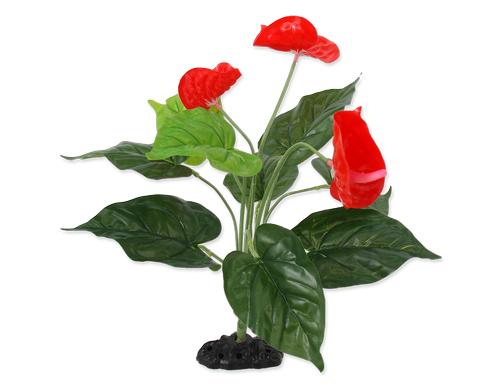 Repti Planet Anthurium 40cm