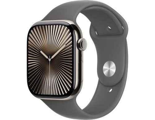 Apple Watch S10 CEL 46 Natural Titanium M mit Stone Grey Sport Band - M/L