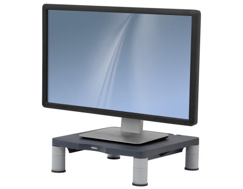 Fellowes Standard Monitor Ständer graphit
