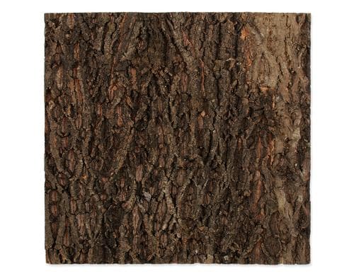 Repti Planet Kork-Rückwand 58.5x56x2cm