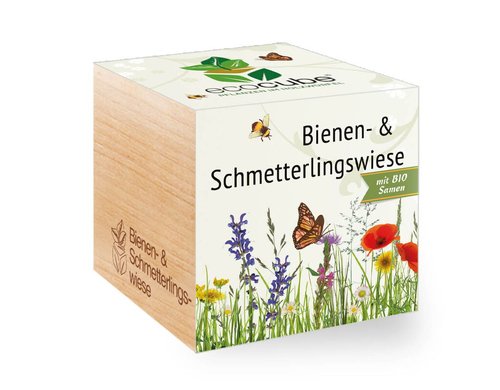 Bienen- & Schmetterlingswiese BIO Ecocube