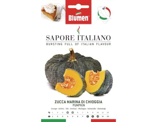 Blumen Kürbis Marina di Chioggia 4 g