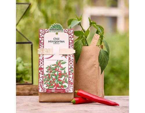 Stadtgärtner Anzuchtsset Chili - BIO