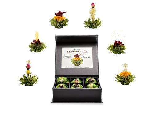 Creano Erblühtee grüner Tee fruity flavor 6er Magnetbox