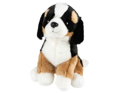 Swiss Plüsch Leo Brummbär Sennenhund 25cm