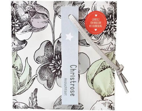 Wunderle Christrosen Saatgut Kleiner Weihnachtsgruss