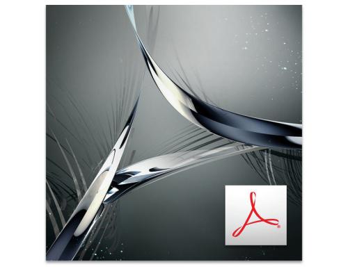 Adobe Acrobat Std DC, Lizenz WIN MP, Abo 1 Jahr, Level 2/10-49, Voll, ML