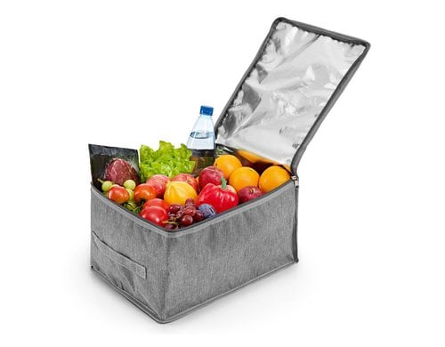 EASYmaxx Kühltasche 21l grau