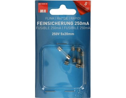 Max Hauri Feinsicherung 250mA  250V 5x20mm flink, 5 Stk.