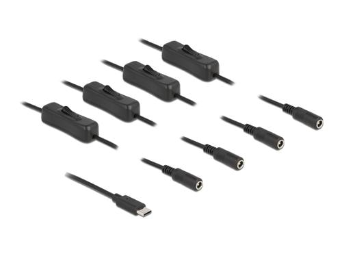 Delock USB-C Stecker zu 4x DC 5.5x2.1mm,1m Mit Schalter,Stecker zu Buchse,1m,Schwarz