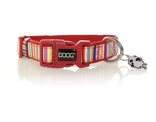 Doog Halsband S Scooby multi-color stripped