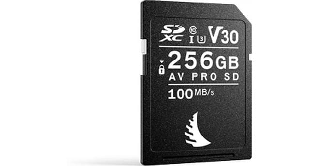 AV PRO SD V30 256 GB