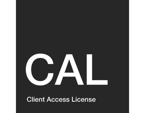 Microsoft CoreCAL User CAL OpenValue Subscription 1 Jahr, Liz+SA