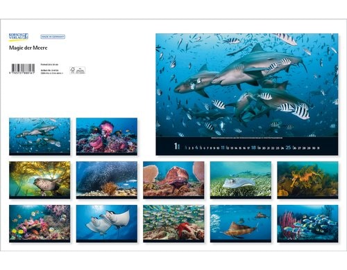 Korsch Verlag Bildkalender Magie der Meere 2026, 58x39cm