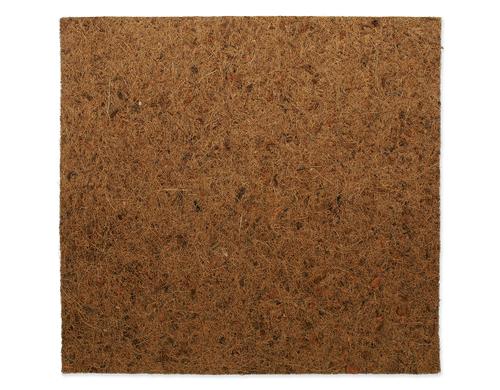 Repti Planet Coco Hintergrund 50x50cm