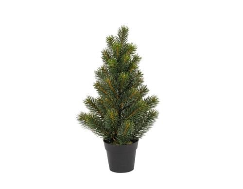 Botanic-Haus Tannenbaum im Topf H: 41 cm