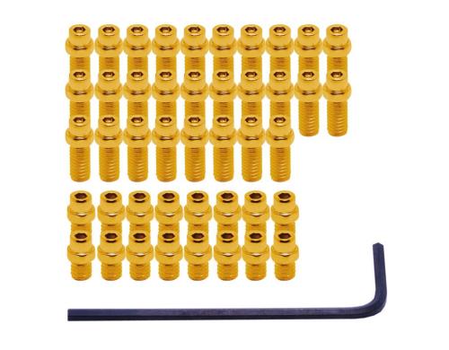 DMR Vault Flip Pins, 44 Stück, Gold