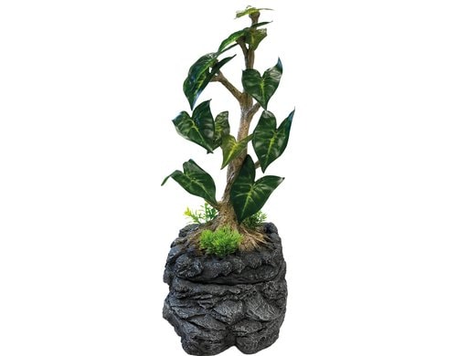 Repto tropfender Baum