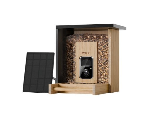 Birdfy Futterspender FSC Bambus Mini Solar Vogelfutterspender mit Kamera + Lifetime Ai