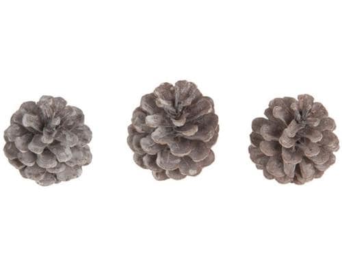 Chalet Deko Zapfenmischung Kiefer, Weiss, 250gr